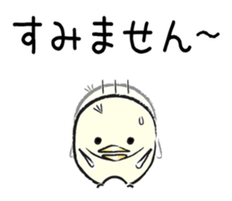 Piyo of Bocci. sticker #8442787