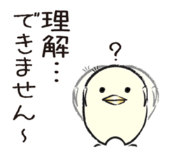 Piyo of Bocci. sticker #8442788