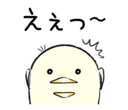 Piyo of Bocci. sticker #8442796