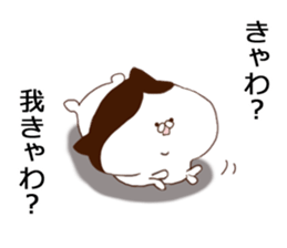 Cat of strange hairstyle sticker #8443594