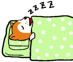 Delusion of the Japanese midget Shiba sticker #8443789