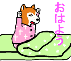 Delusion of the Japanese midget Shiba sticker #8443790