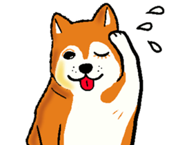Delusion of the Japanese midget Shiba sticker #8443793