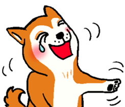 Delusion of the Japanese midget Shiba sticker #8443795