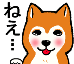 Delusion of the Japanese midget Shiba sticker #8443796
