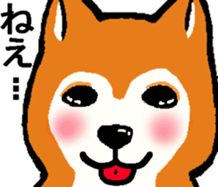 Delusion of the Japanese midget Shiba sticker #8443797