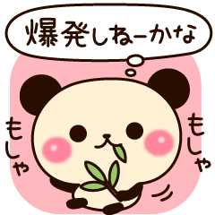 Cute and invective Panda