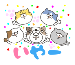 Happy new year with pretty kitten sticker #8445086