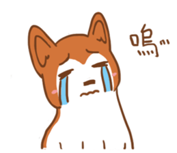SHIBA-COCO sticker #8445278