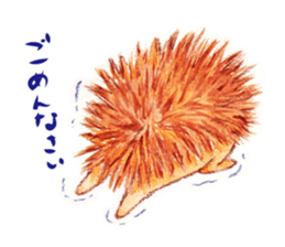 Pretty hedgehog sticker #8447448
