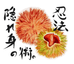 Pretty hedgehog sticker #8447468