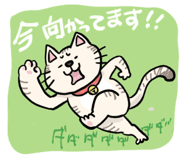 Heartwarming cute jw cat sticker #8452178