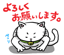 Heartwarming cute jw cat sticker #8452179