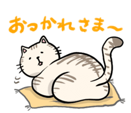 Heartwarming cute jw cat sticker #8452182