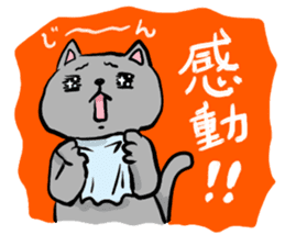 Heartwarming cute jw cat sticker #8452185