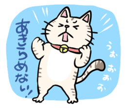 Heartwarming cute jw cat sticker #8452191