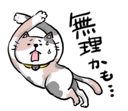 Heartwarming cute jw cat sticker #8452195