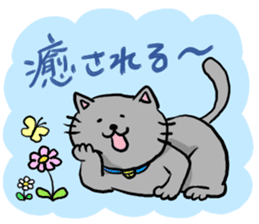 Heartwarming cute jw cat sticker #8452201