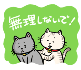 Heartwarming cute jw cat sticker #8452210
