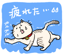 Heartwarming cute jw cat sticker #8452214