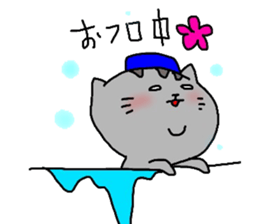 americanshorthair sticker #8457055