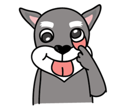 DongDong (Schnauzer ) sticker #8460130