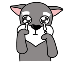 DongDong (Schnauzer ) sticker #8460132