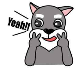 DongDong (Schnauzer ) sticker #8460142