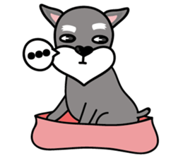 DongDong (Schnauzer ) sticker #8460144