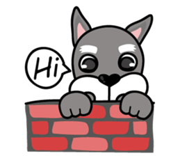 DongDong (Schnauzer ) sticker #8460145