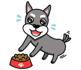 DongDong (Schnauzer ) sticker #8460147