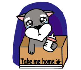 DongDong (Schnauzer ) sticker #8460149