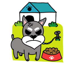 DongDong (Schnauzer ) sticker #8460154