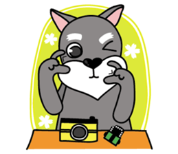 DongDong (Schnauzer ) sticker #8460164
