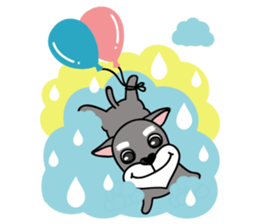 DongDong (Schnauzer ) sticker #8460167