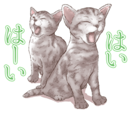 Strange pose cat 5 sticker #8460530