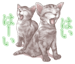 Strange pose cat 5 sticker #8460530