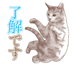 Strange pose cat 5 sticker #8460531