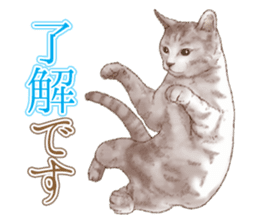 Strange pose cat 5 sticker #8460531