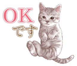 Strange pose cat 5 sticker #8460532