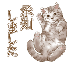 Strange pose cat 5 sticker #8460533