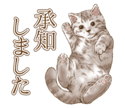 Strange pose cat 5 sticker #8460533