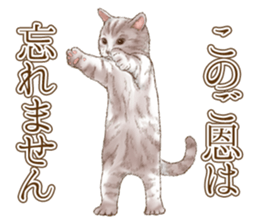 Strange pose cat 5 sticker #8460535