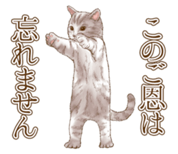 Strange pose cat 5 sticker #8460535