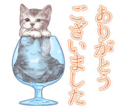 Strange pose cat 5 sticker #8460537