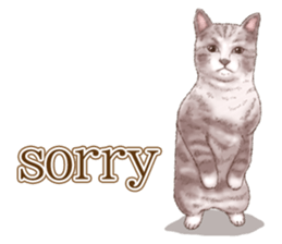 Strange pose cat 5 sticker #8460538