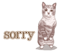 Strange pose cat 5 sticker #8460538