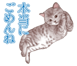 Strange pose cat 5 sticker #8460539