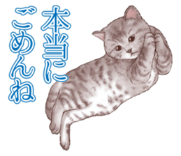 Strange pose cat 5 sticker #8460539