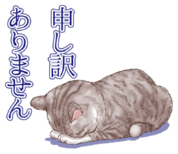 Strange pose cat 5 sticker #8460540